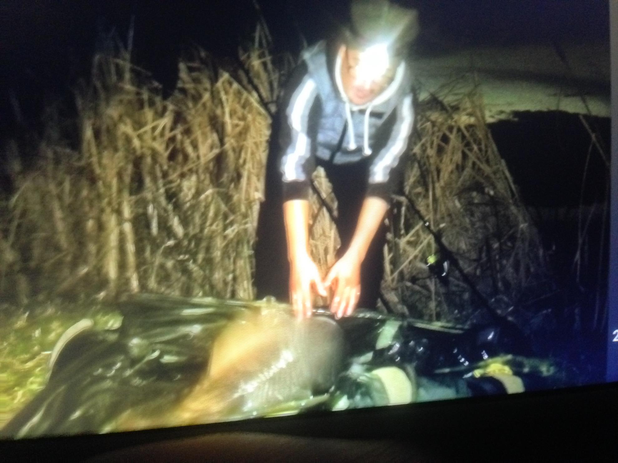 ISOLA DEL PESCATORE 7 - 9 noiembrie 2016 - img2785.JPG